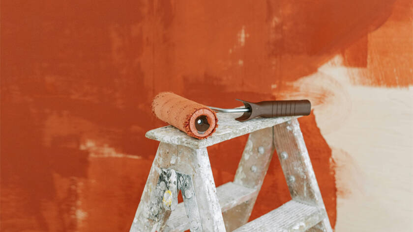 Why Professional House Painters in Adelaide Are Worth Every Cent